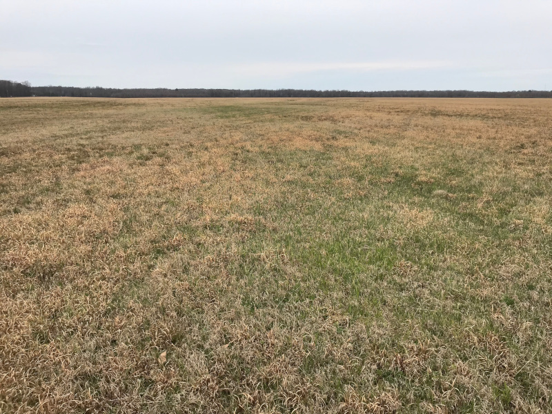 Tracking Field